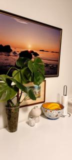 Studio apartment 10mins from Oslo Cent. station. - 1