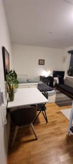 Studio apartment 10mins from Oslo Cent. station. - Oslo - 4