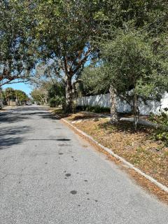 Palm Paradise Retreat - 9