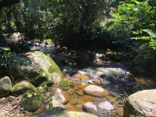 Sítio Imperial - Guapimirim - 2