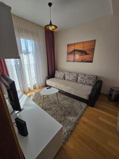 AS Kalman Apartman i Spa - Zlatibor - 7