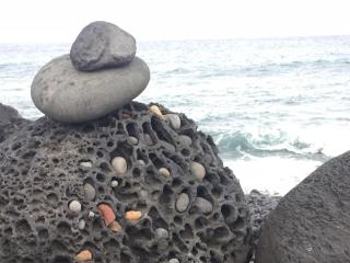 Le Mascareignes Studio - 7