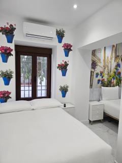 Nueva PENSION CIBELES - 1