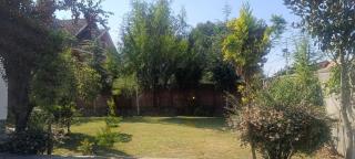 Magnolia Homestay - Srinagar - 7