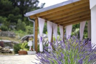 House Marie?s Lavander Dream - Raslina - 9