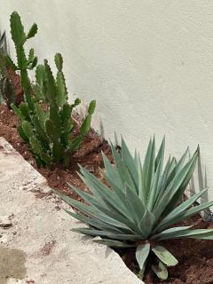 villa San Miguel de Allende - Abomey-Calavi - 4