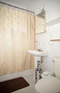 Tangerine Sunsets Tangelo - 7