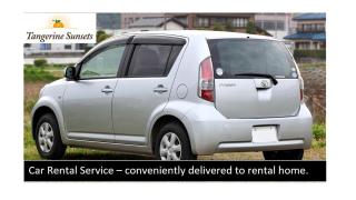 Tangerine Sunsets Tangelo - 4