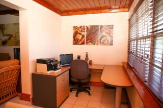 Tangerine Sunsets Tangelo - 3