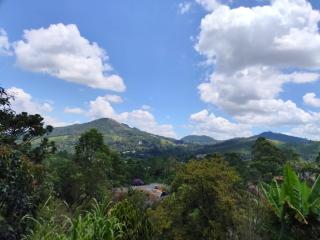 Chácara - Mairiporã - 6