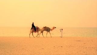 Beachfront Bliss 1BR & Balcony - Ajman - 7