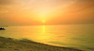 Beachfront Bliss 1BR & Balcony - Ajman - 1