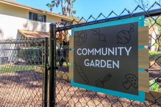Sweetwater 26d I Beautiful 2bd Apt I Free Parking - Gainesville - 4