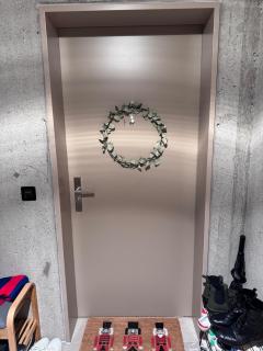 High End Flat close to ESC - Muttenz - 8