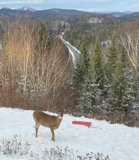 Entre Pierre et Bois - B&B - Couette et Café - 8