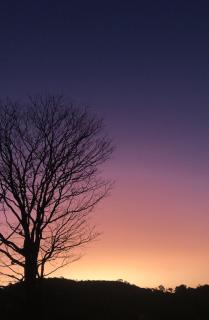 Casa de Campo Vivenda da Serra - 7