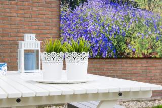 Bed and Breakfast De Reggestee - 3