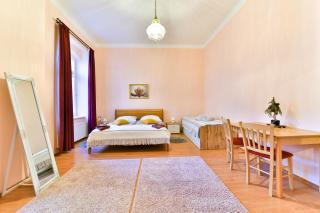 Anzio apartments - Marienbad - 9