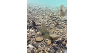 Stayhocha Year-Round Creek Fun,Hot Tub,Waffle bar - Broken Bow - 9