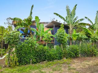 Entire House Surrounded by Nature - - 8