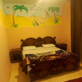 Dana moon hostel - Dana - 6