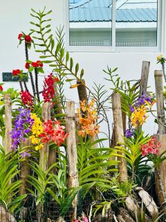 Cap Jean Marie Beach Villas - Anse Kerlan - 8