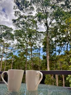 CantaRana Lodge Rainforest - Jabillos - 8