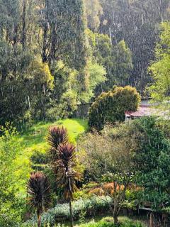 Daylesford Lake Villa1 Lake Frontage pet friendly - Daylesford - 1