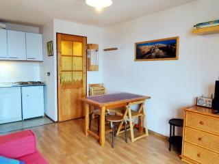 Appartement aux Adrets-Prapoutel, 2 pièces, balcon, proche pistes et commerces - FR-1-771-48 - 4