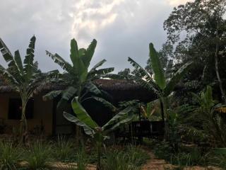 Eco Lagoon Countryside Art Retreat - 3