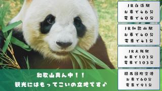 ホテルグリーンヒル美浜 - 3