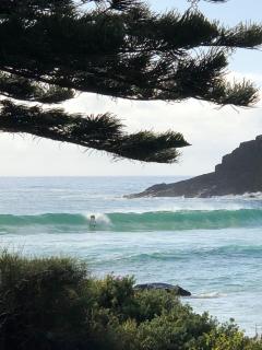 Braelee Sands - Scotts Head - 5