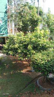 Indunil G and R - Ratnapura - 1