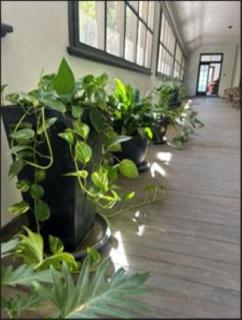 The Riverine Club - 5