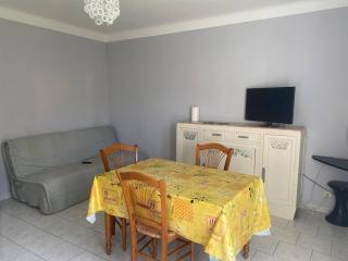 F2 ensoleillé près des thermes, animaux admis - FR-1-703-203 - Amélie-les-Bains-Palalda - 3