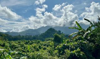 Bambua Nature Cottages - 3