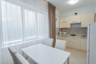 Central, 1 bedroom Luxury apartment - Chişinău - 2
