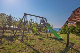 Vineyard Cottage Brodaric - Happy Rentals - Metlika - 8