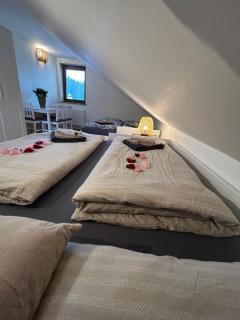 Horský domek se zahradou na Javorné u Železné Rudy - 5