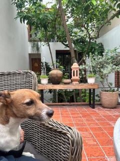 Notre Maison 8 Saigon close Landmark 81 building - Ho Chi Minh City - 9