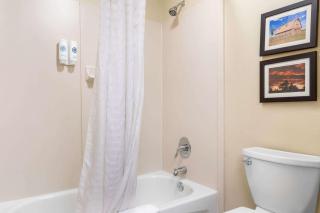 Comfort Inn & Suites Near University of Wyoming - 1