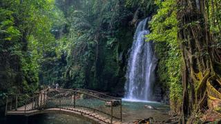 Pondok D Angga Tampaksiring - Tegalalang - 9