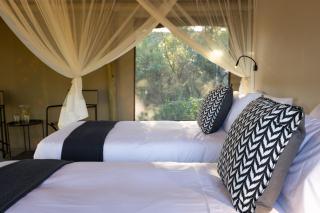 Nkuwa Wilderness Camp, Selati Game Reserve - Gravelotte - 6