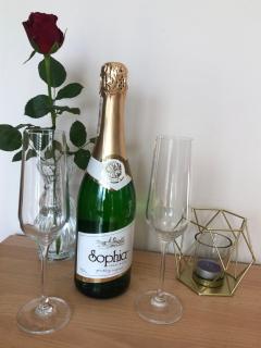 Apartament Vanessa 2 u podnóża gór, nad jeziorem Czorsztyńskim - 4