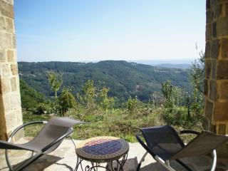 Detached holiday home in Chassiers with pool - Chassiers - 9