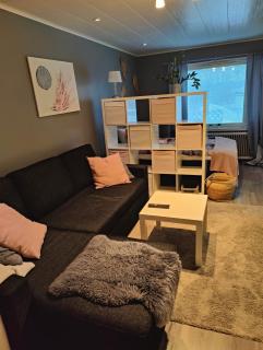 Viihtyisä yksiö Porissa - 9