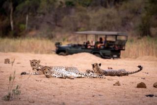 Nkuwa Wilderness Camp, Selati Game Reserve - Gravelotte - 9