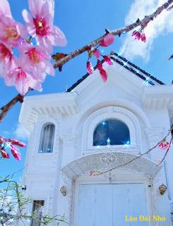 Biệt Thự cao cấp Lâu Đài Nhỏ Đà Lạt - Little Castle Da Lat Villa - 9