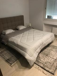 New appartement a jardin de Carthage - Tunes - 2