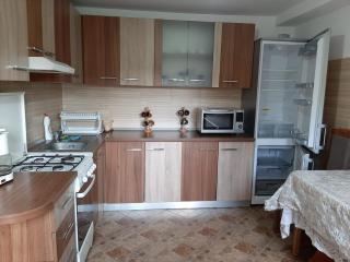 Vila Speranța Arieseni - Arieşeni - 9